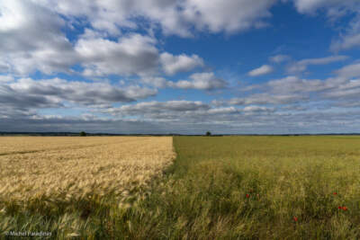 Paysage de champs agricole aux environ de Saint-Jouin-de-Marnes. Vue vers Oiron.